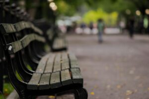 Peaceful park bench lined pathway in Central Park, New York City, with soft bokeh effect.